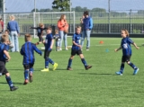 S.K.N.W.K. JO8-1 - M.Z.C. '11 JO8-3 (competitie) 2024-2025 (4e fase) (100/109)